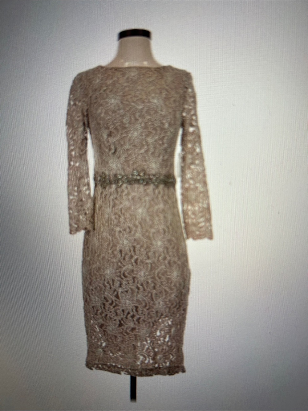 Jackie Jon Lace Beaded Long-Sleeve Dress in Dusty Rose